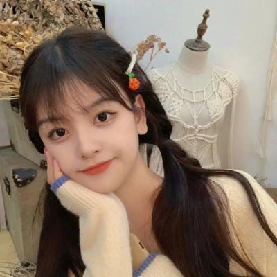 寅次郎的故事7：奋斗篇